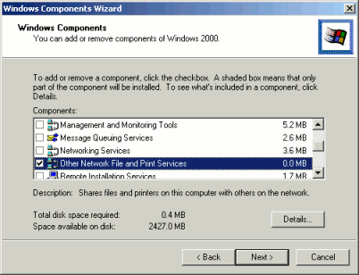 Windows Component: Other Network File and Print Service